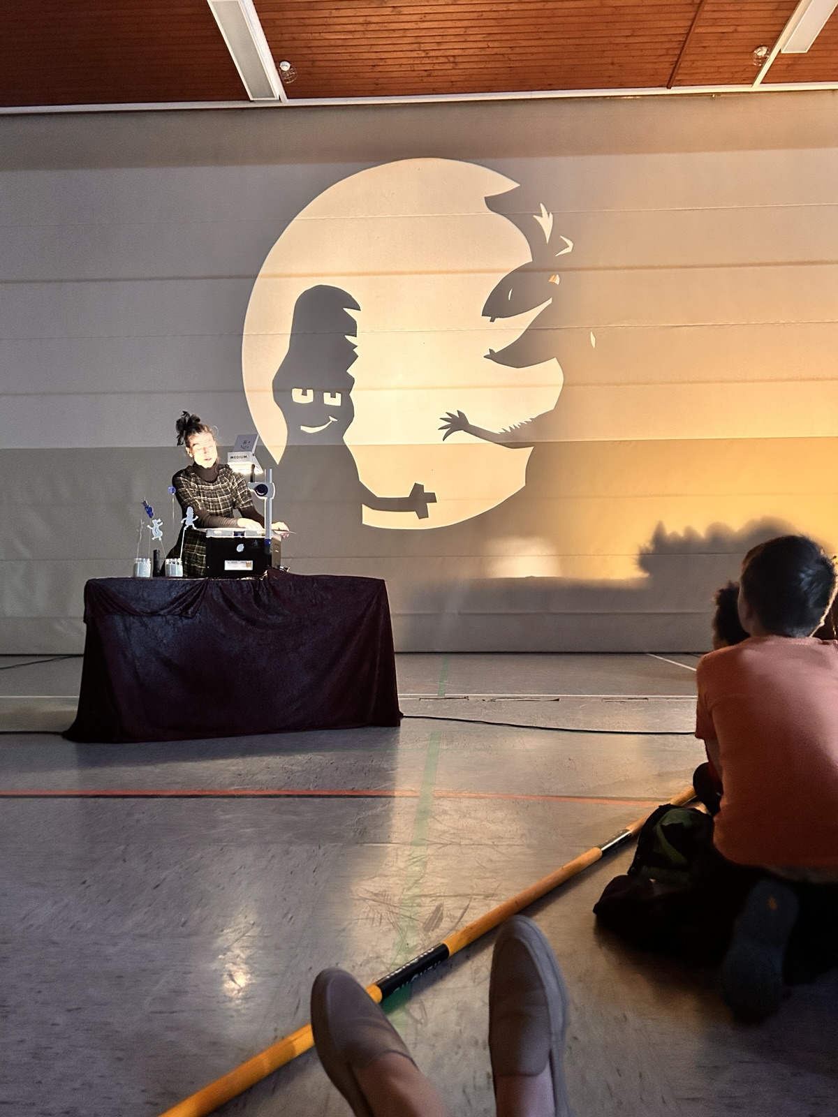 Bild Schattentheater